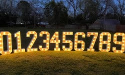 MARQUEE NUMBERS